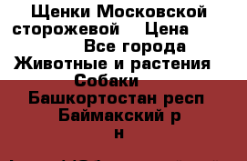 Щенки Московской сторожевой  › Цена ­ 25 000 - Все города Животные и растения » Собаки   . Башкортостан респ.,Баймакский р-н